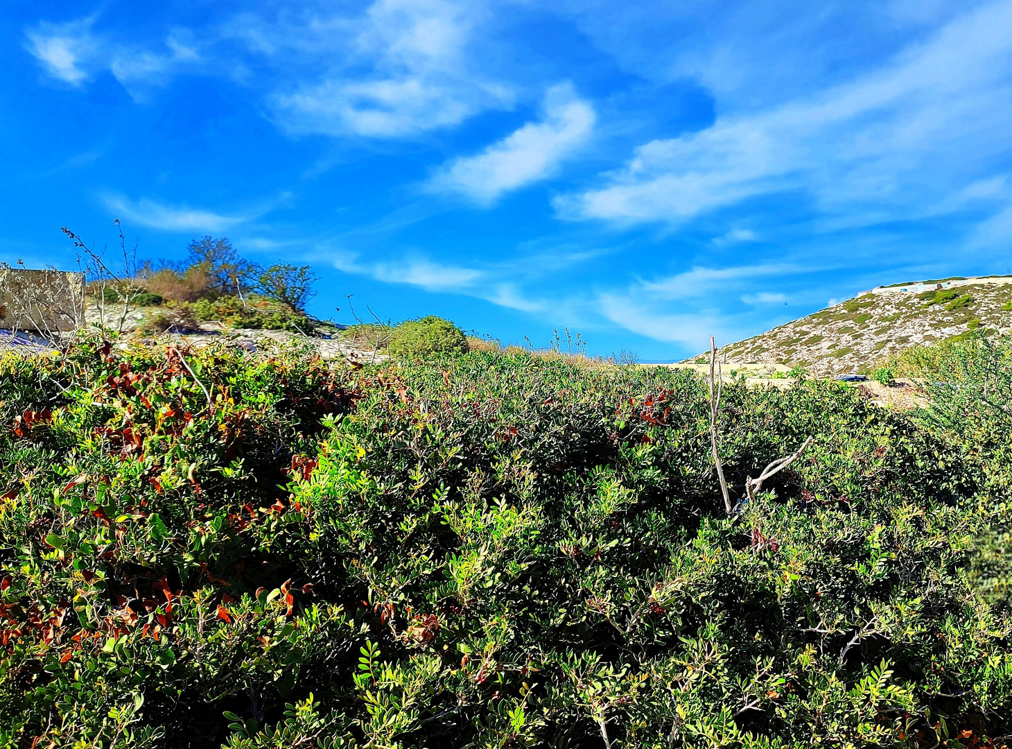 Vert-calanque