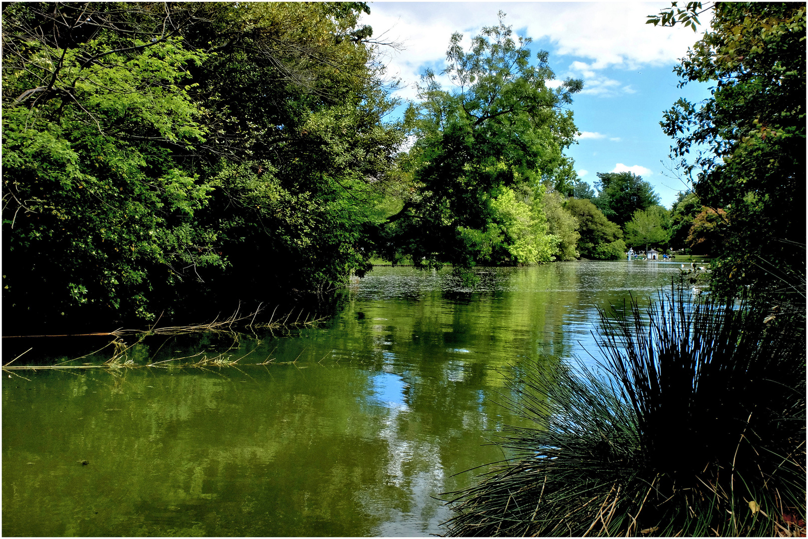 Vert d'eau