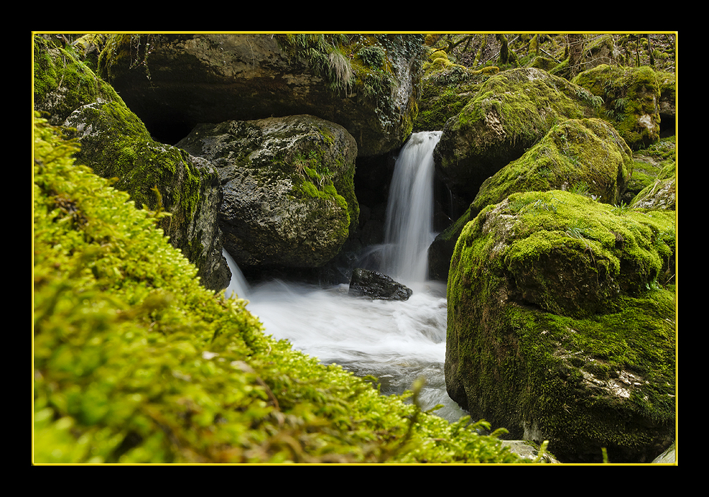 Vert d'eau