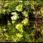 Vert le marais... Mais pas de peur!