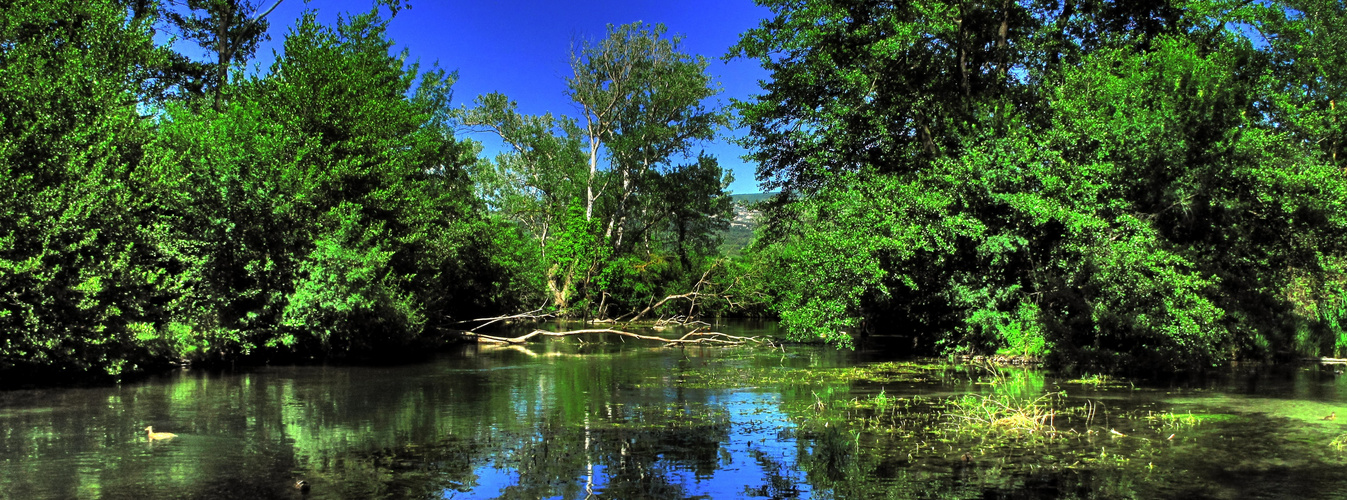 VERT SUR SORGUE