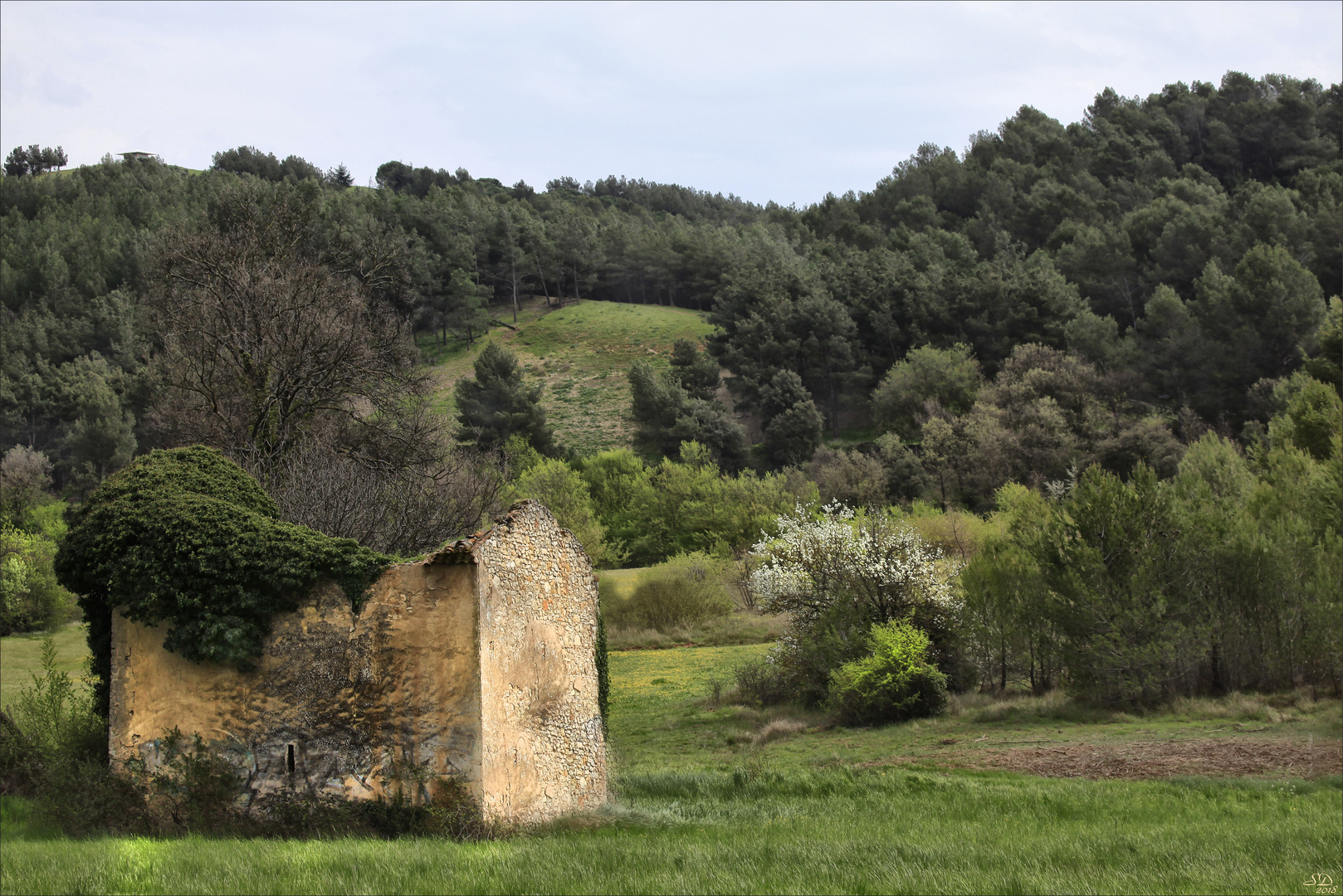 Verte campagne