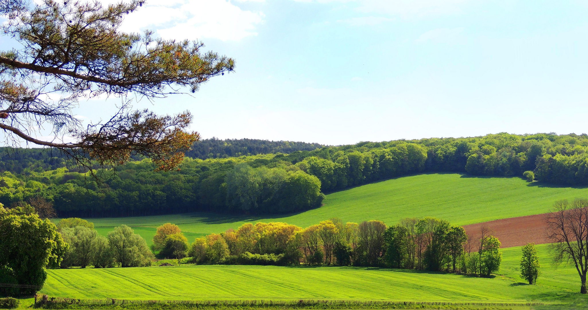 Verte campagne