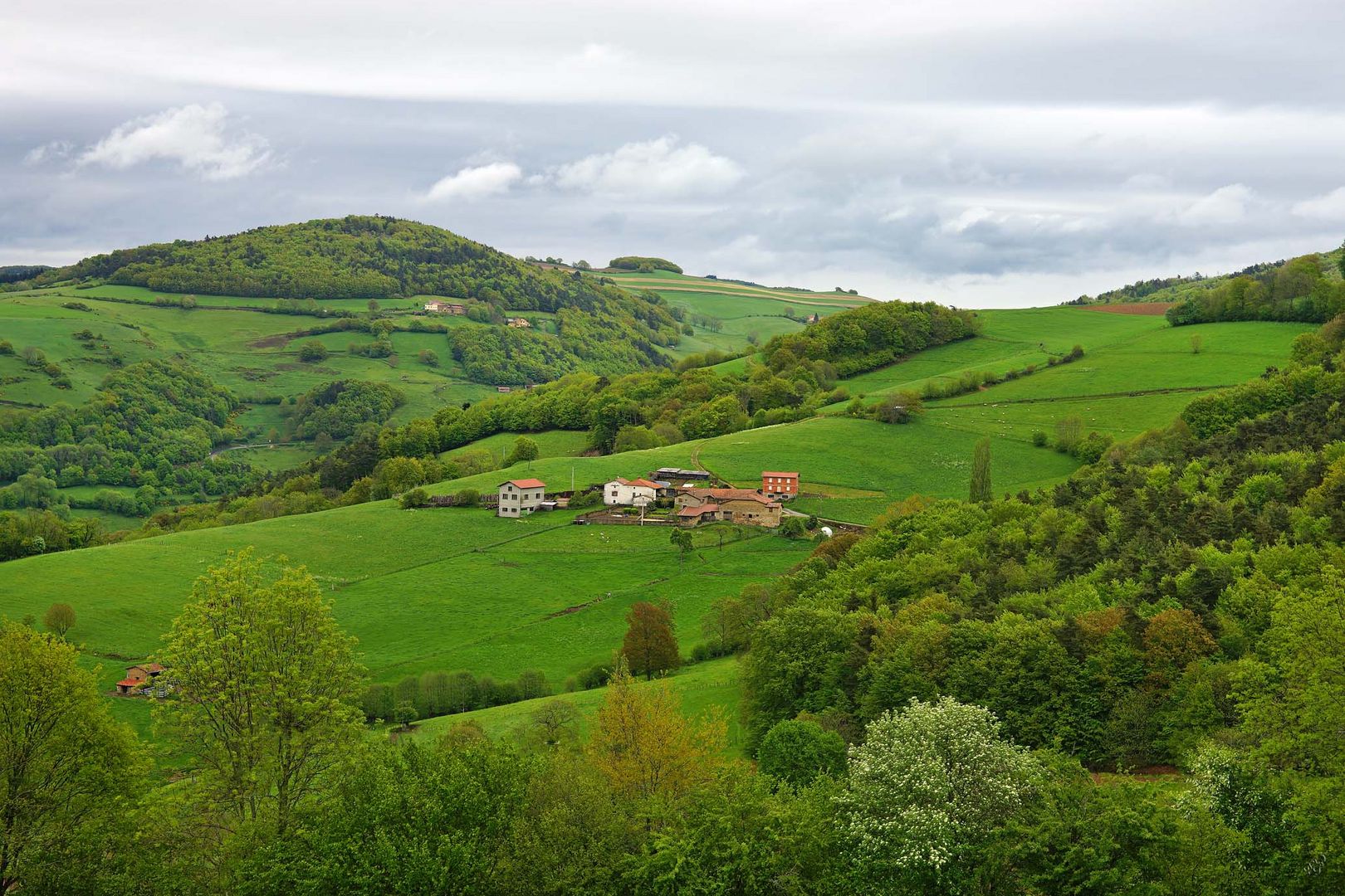 Verte Campagne ....