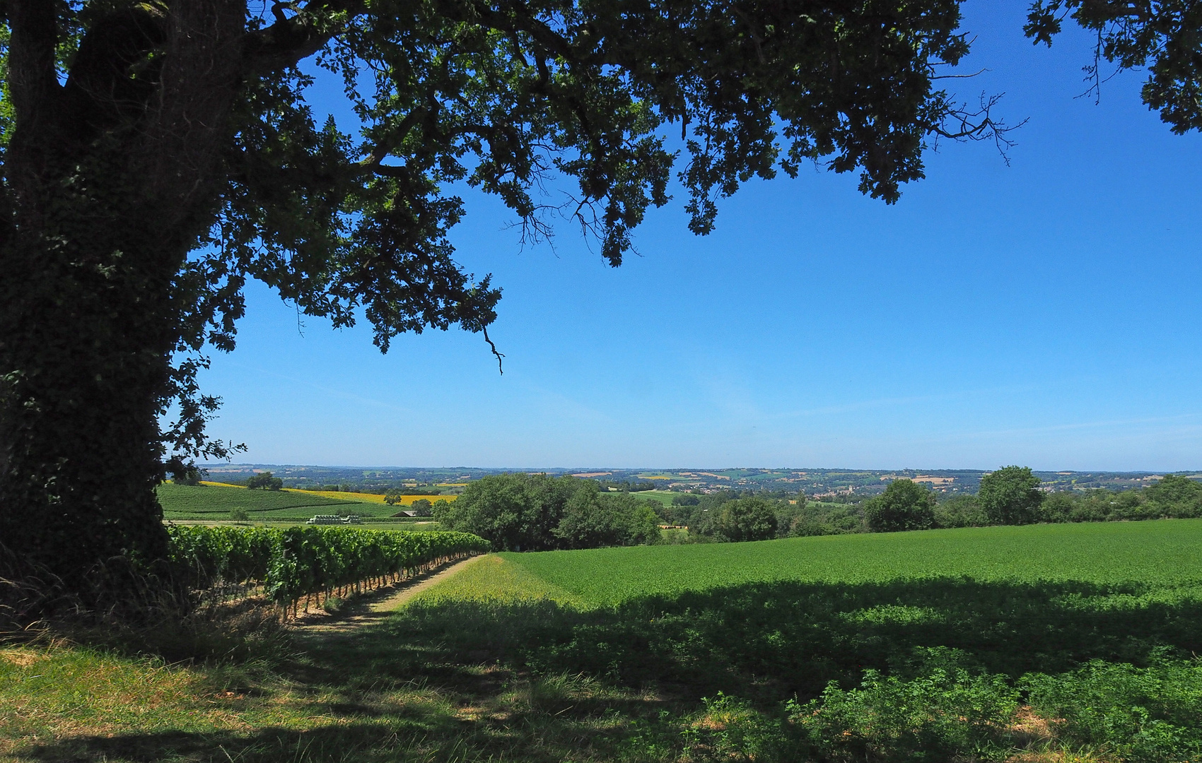 Verte campagne gersoise