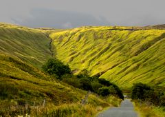 Verte irlande peu connue