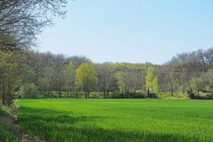 Verte vallée de la Baïse