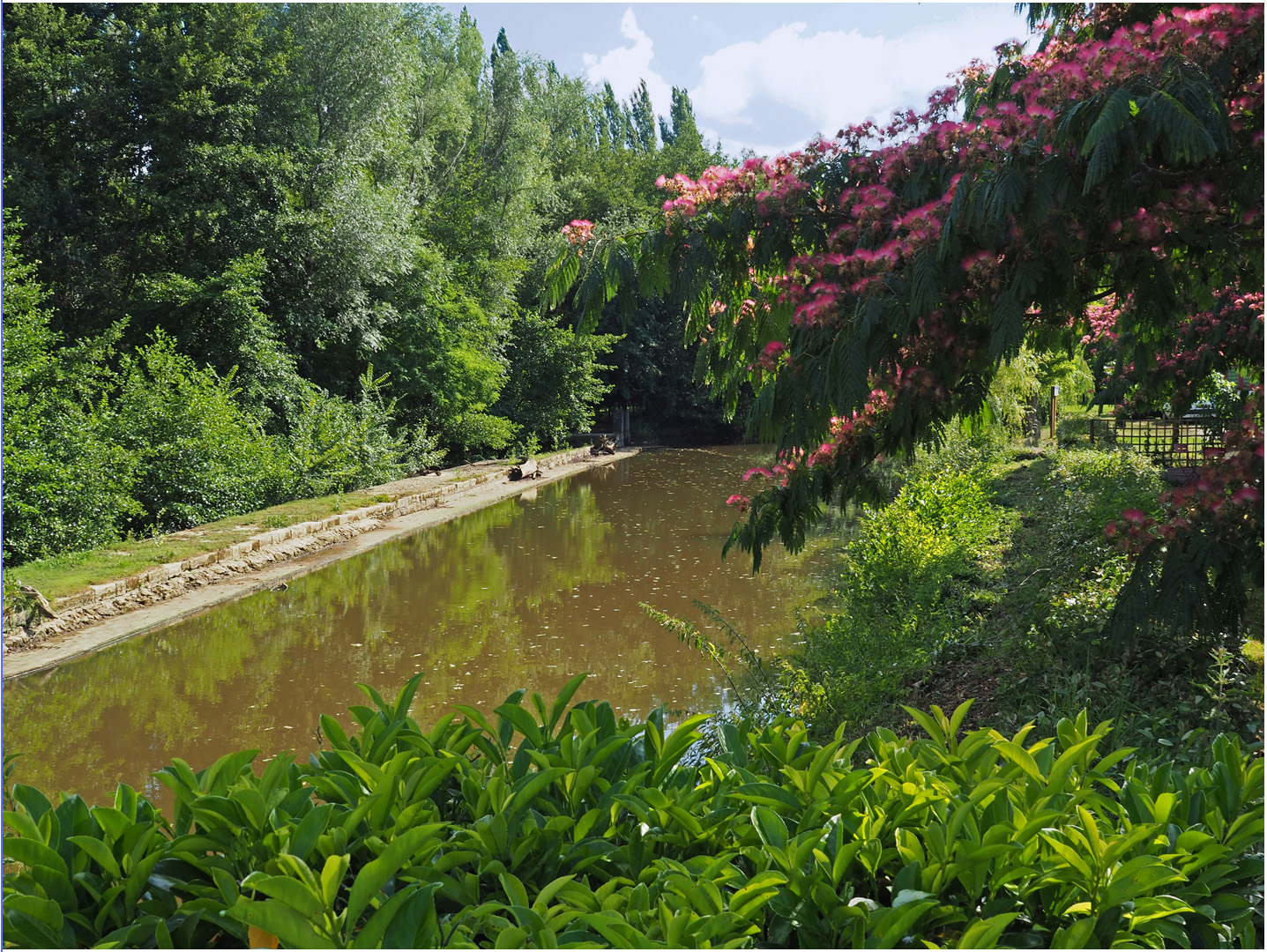 Verte vallée de la Gélise à Poudenas