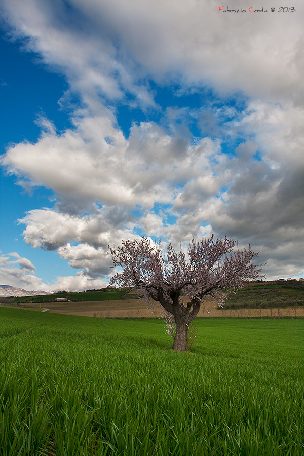 Vertical Landscape