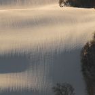 Vertical snow waterfall