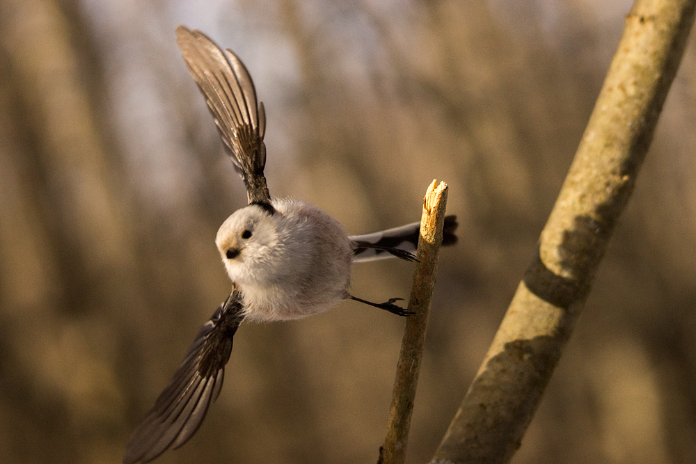 Vertical take off