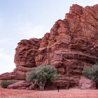 Verticalité du désert - Jordanie