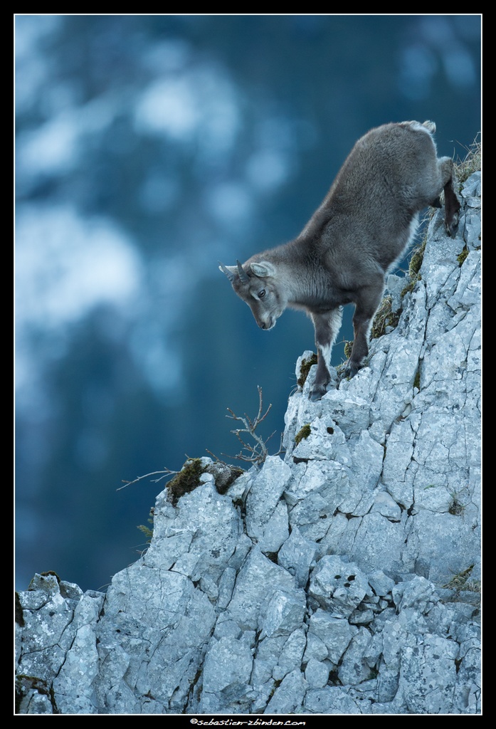 Verticalité (ou presque)