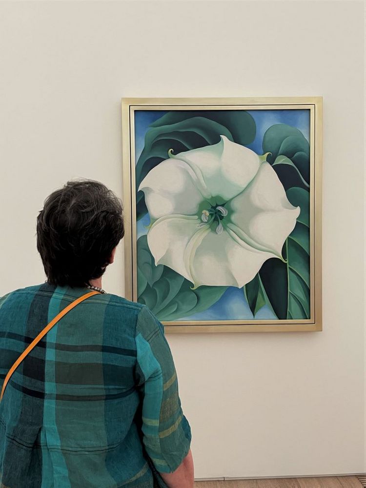 vertieft in ein Bild von Georgia O'Keeffe