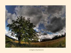 Vertigine di primavera