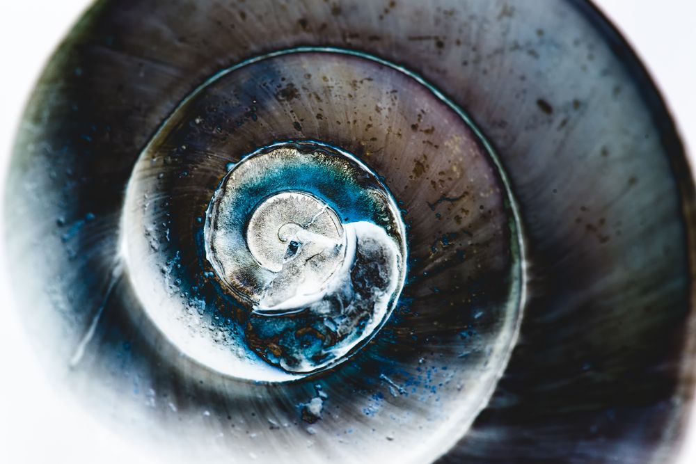 Vertigo Foto & Bild naturkreativ, aufnahmetechniken, color gone