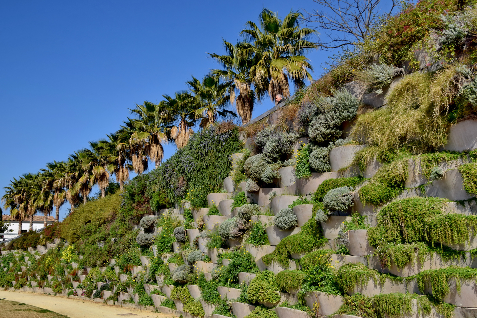 Vertikaler Garten