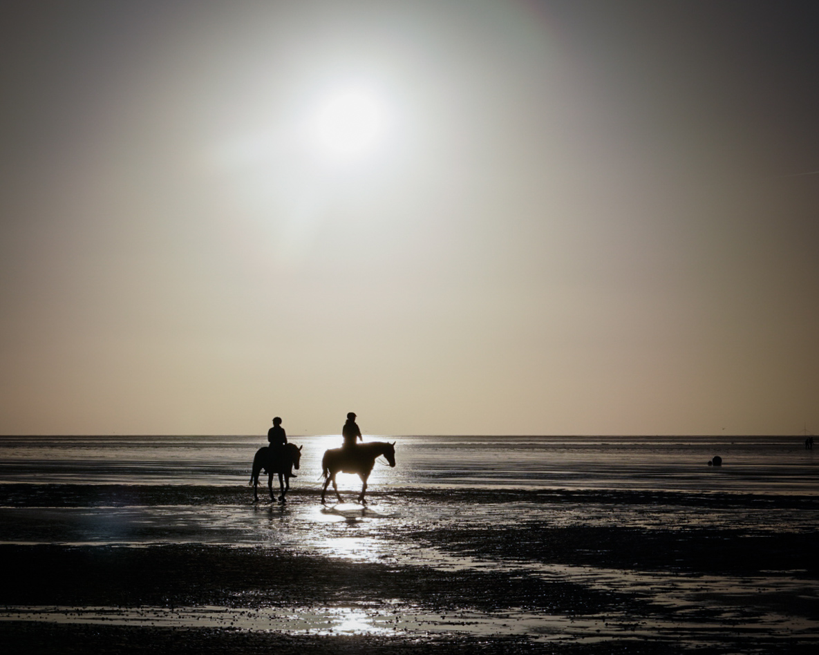 Verträumt am Wattenmeer 