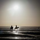 Verträumt am Wattenmeer 