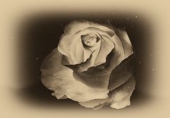 Verträumt ......... FROHE OSTERTAGE