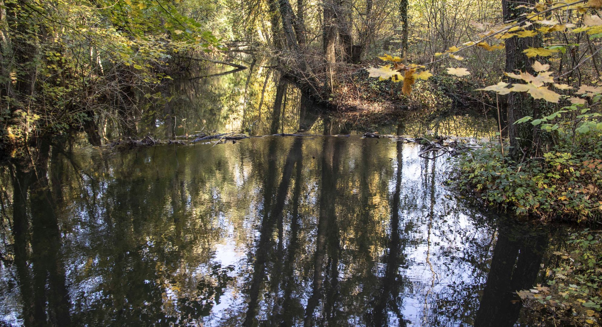 Verträumte Ecke am Boker Kanal 