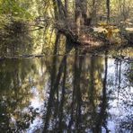 Verträumte Ecke am Boker Kanal 