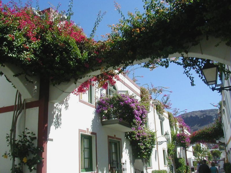 Verträumte Gasse in Mogan auf Gran Canaria