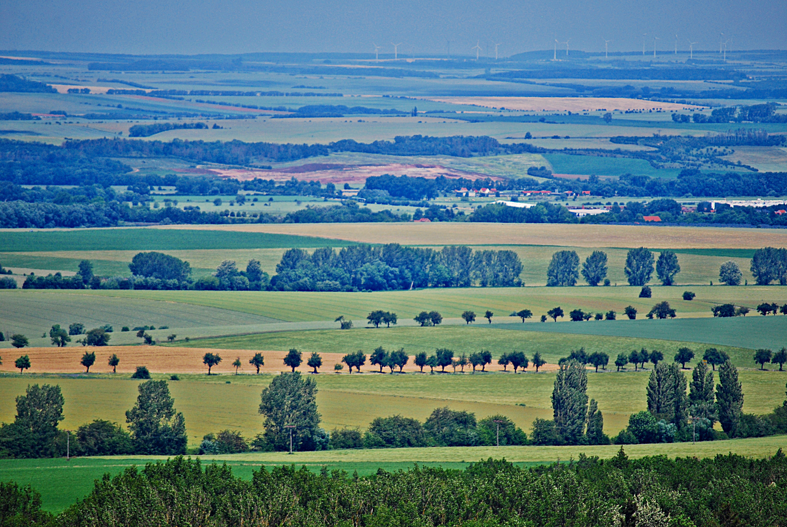 verträumte Landschaft...