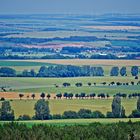 verträumte Landschaft...