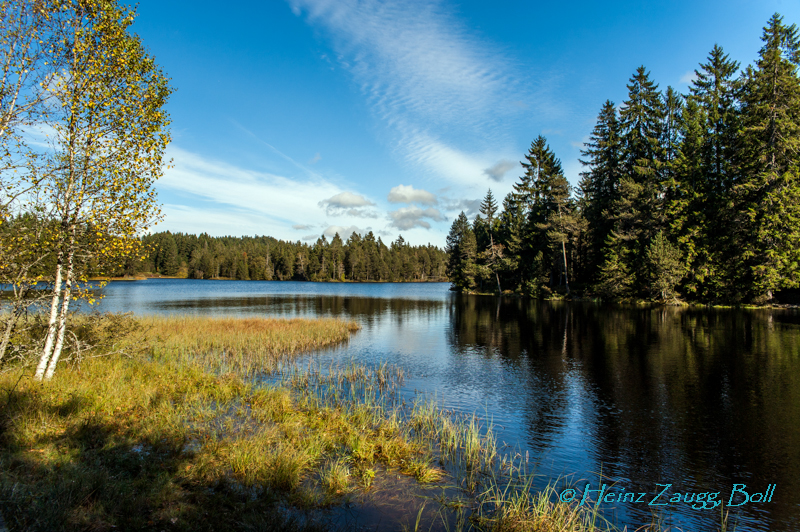 Verträumte Landschaft