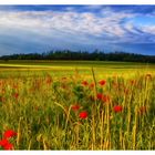 Verträumte Landschaft