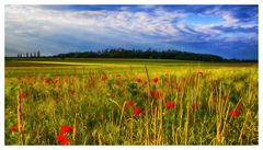 Verträumte Landschaft