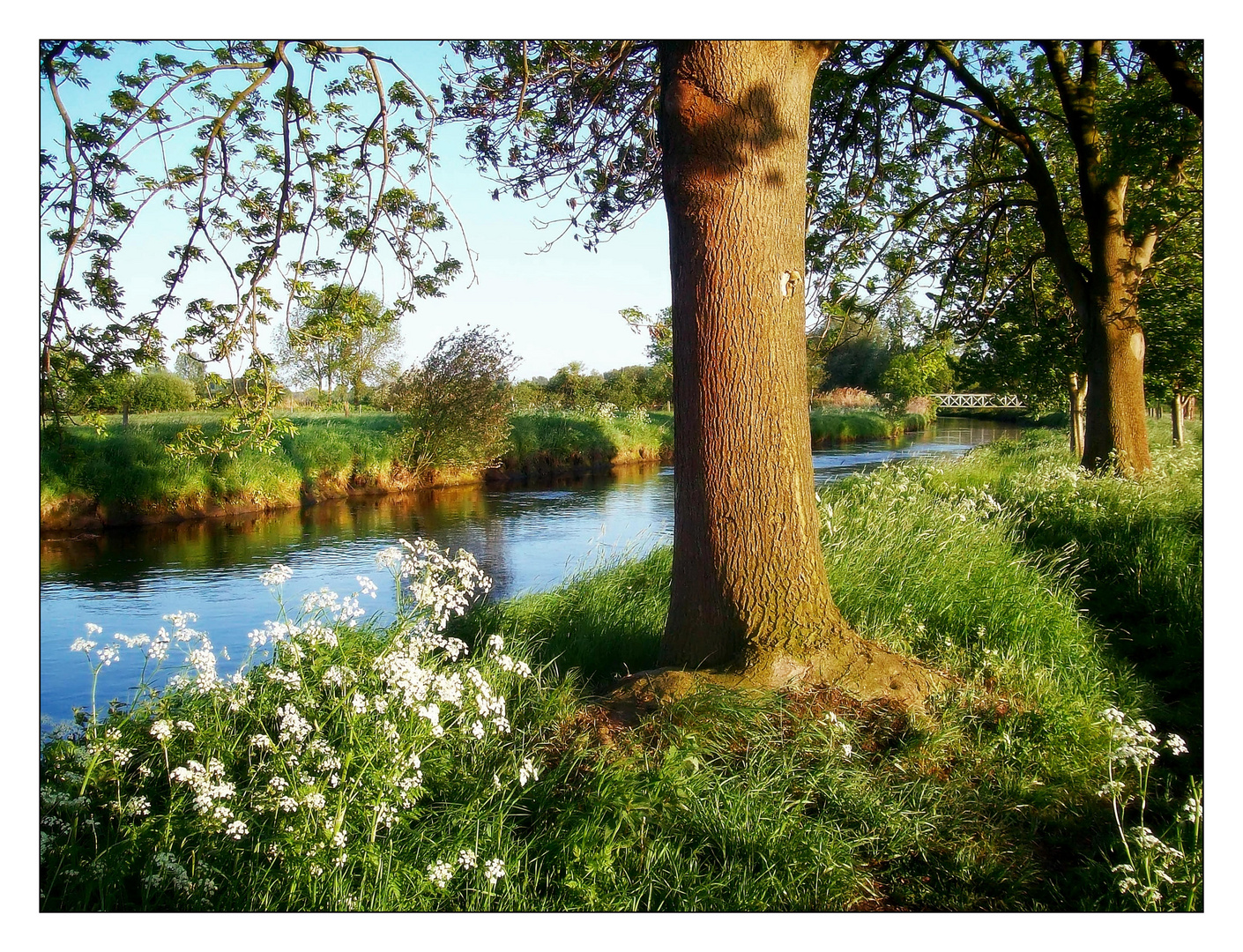 Verträumte Nierslandschaft