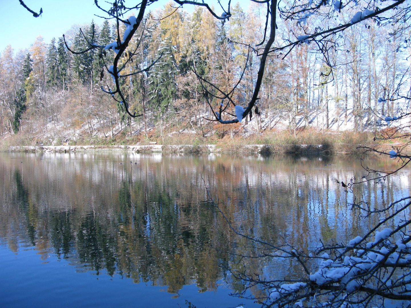 Verträumte Spiegelungen, St. Gallen, Gübsensee