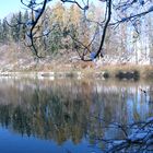 Verträumte Spiegelungen, St. Gallen, Gübsensee