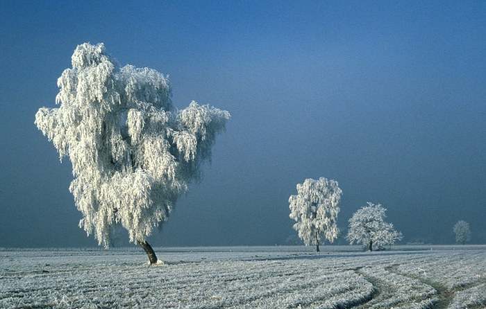 Verträumte Winterlandschaft