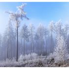 Verträumte Winterzeit