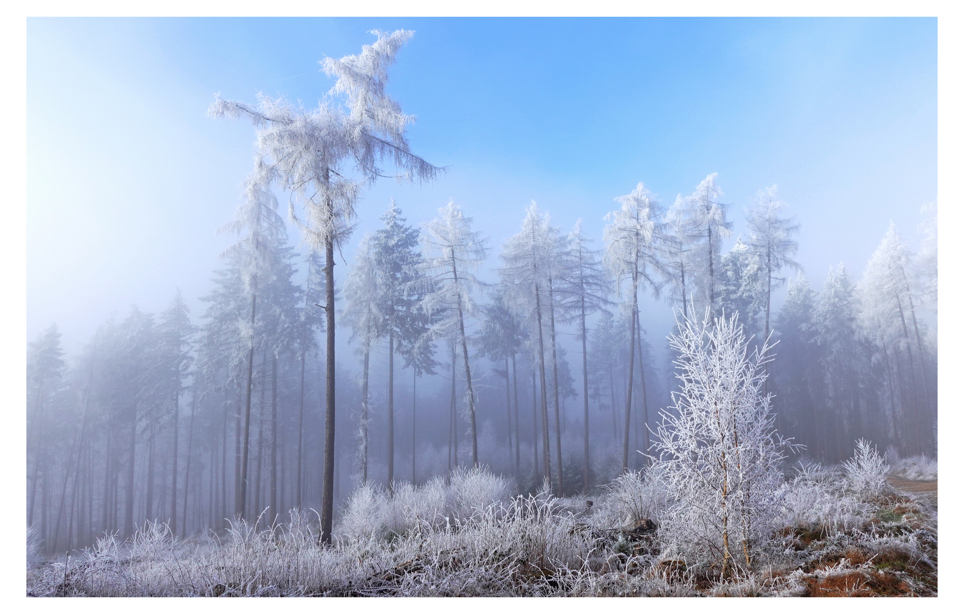 Verträumte Winterzeit