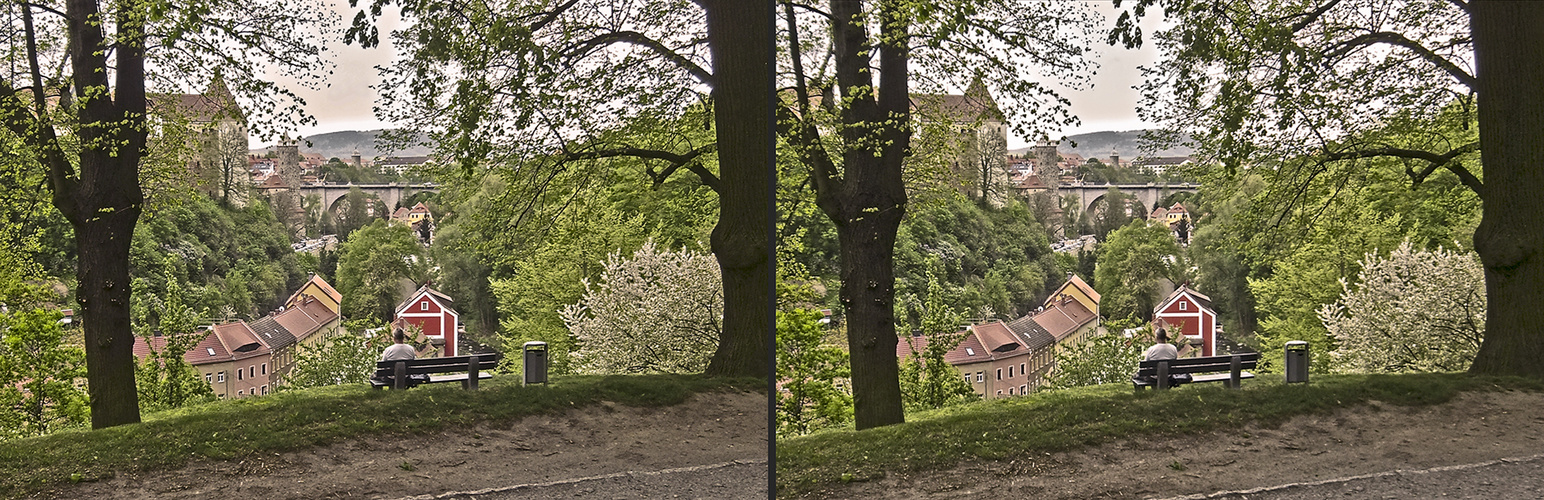 verträumter Blick... (3D)