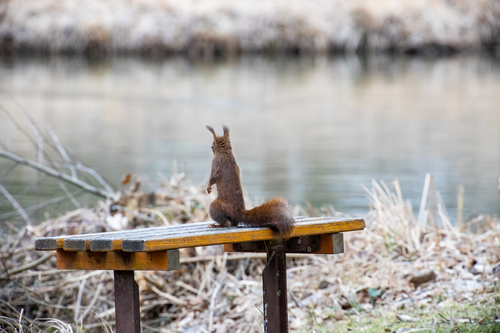 Verträumter Blick?