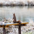 Verträumter Blick?