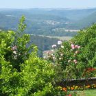 Verträumter Blick in die Weinberge von Vézelay