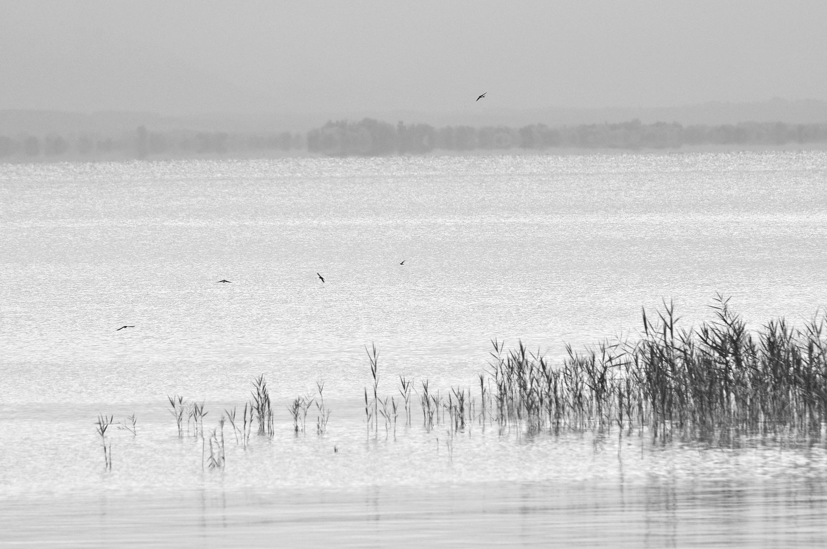 verträumter Blick über den See