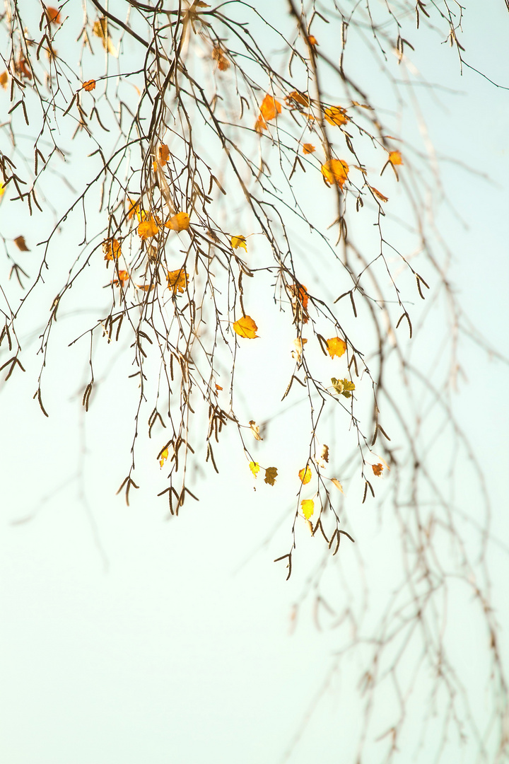 verträumter Herbst