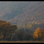 Verträumter Herbst am Kandel...