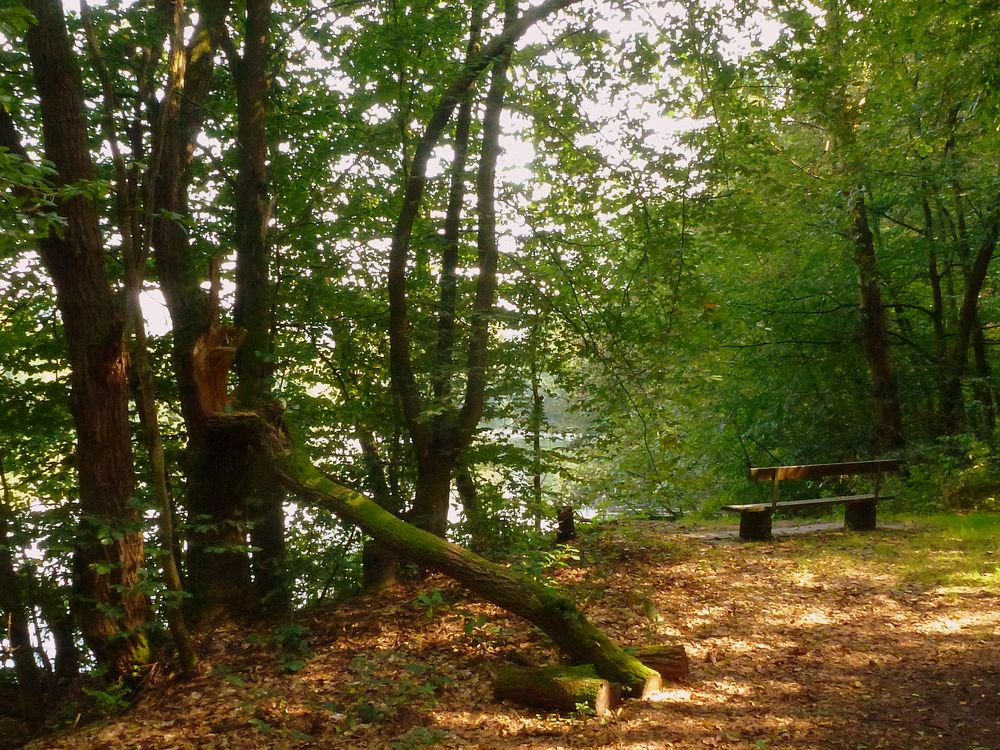 -Verträumter Ruheplatz-