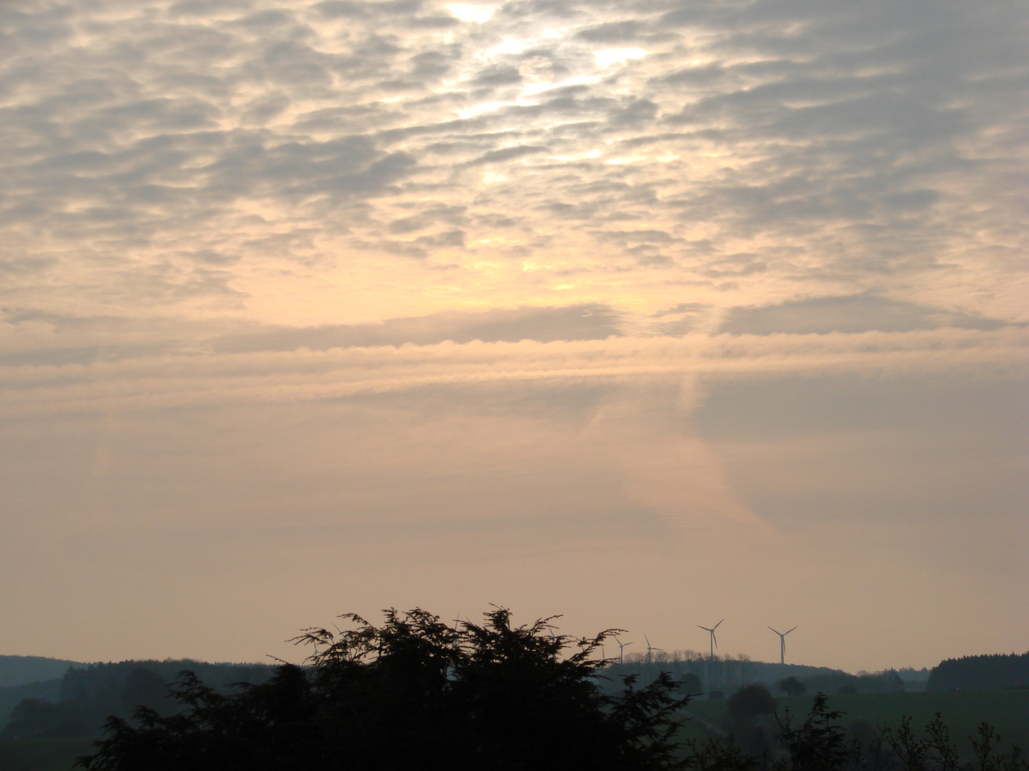 Verträumter Sonnenaufgang