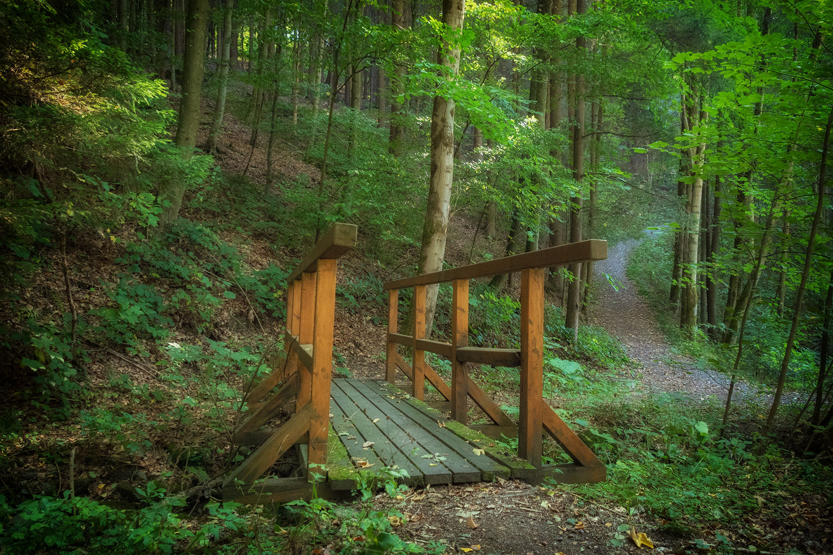 verträumter Waldweg mit Brücke