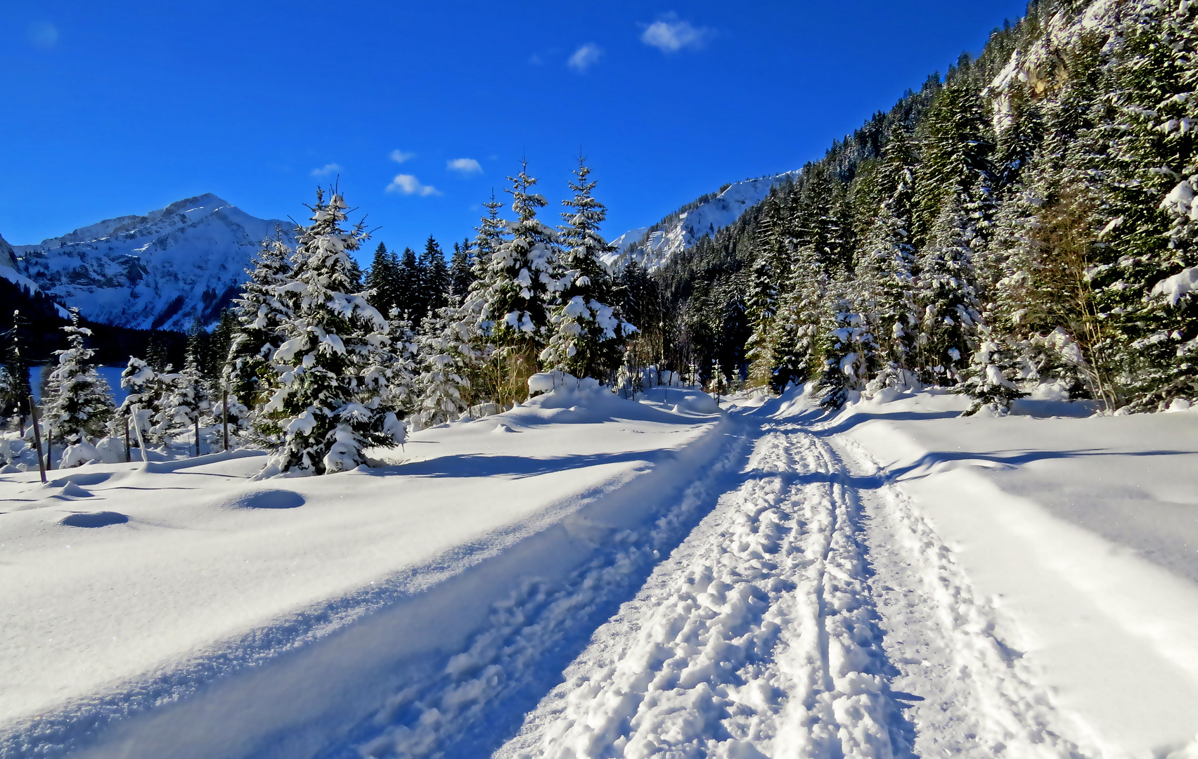 Verträumtes Winterabenteuer