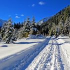 Verträumtes Winterabenteuer